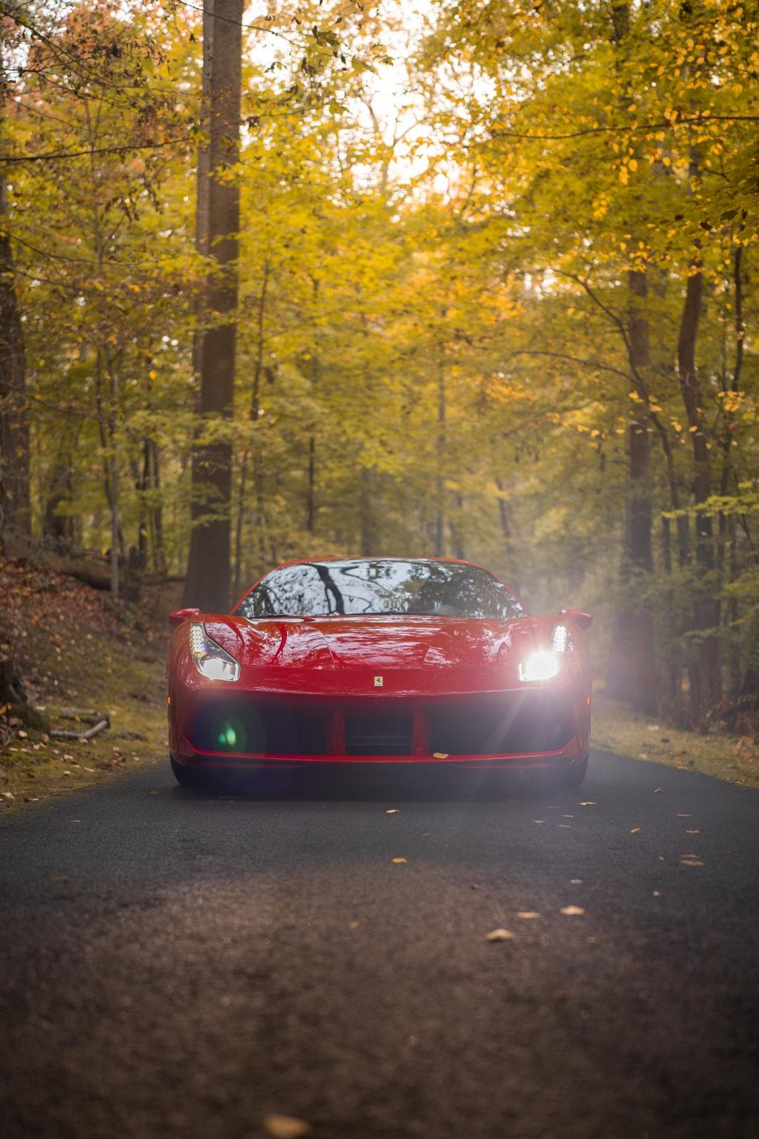 Red Ferrari 488 Spider head-on with its headlights on, on a road through autumn woods